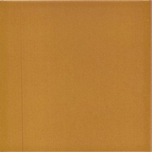 20x20 Cm Ac 23 Karamel Renk Çini Seramik Karo